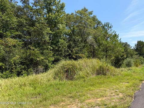Vacant Land For Sale - 3.7 Acres Beesley Road<br/> George County, Lucedale, MS 39452