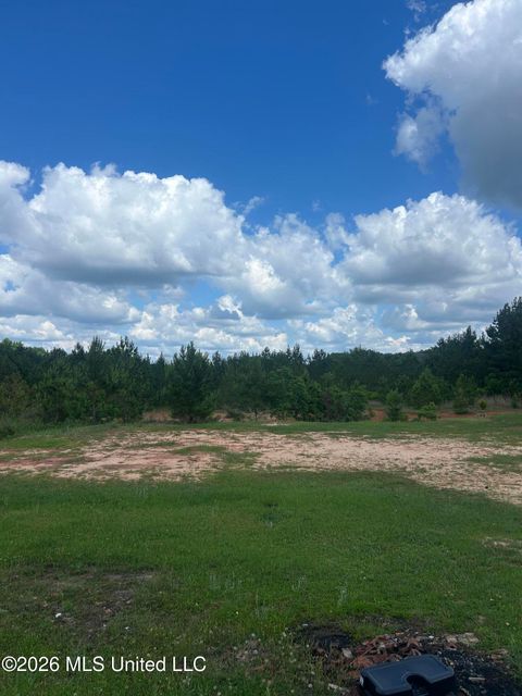 Vacant Land For Sale - 48 Joe Traylor Road<br/> Hattiesburg, MS 39402