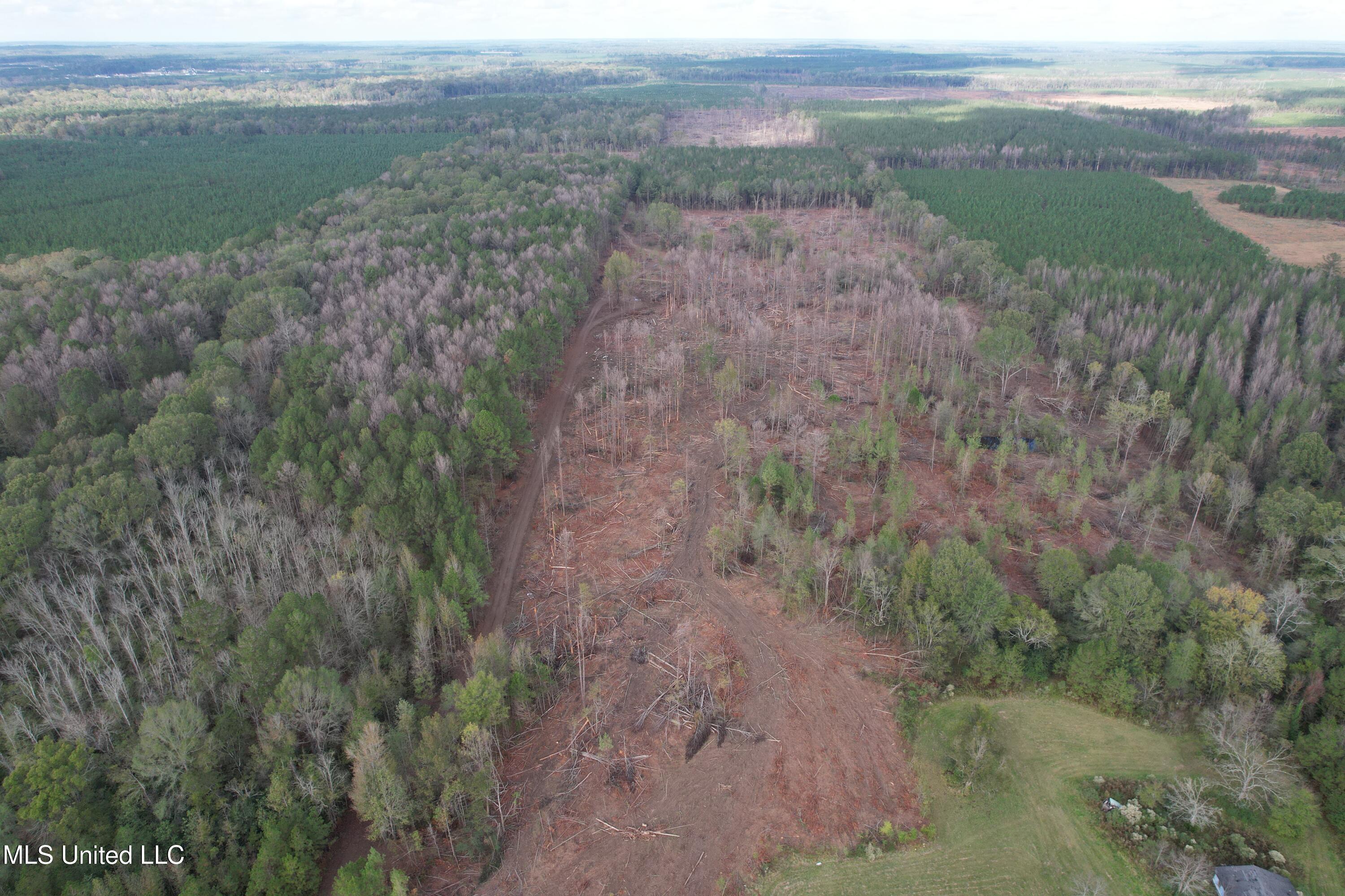 Holly Bush Road Road, Pelahatchie, Mississippi image 1