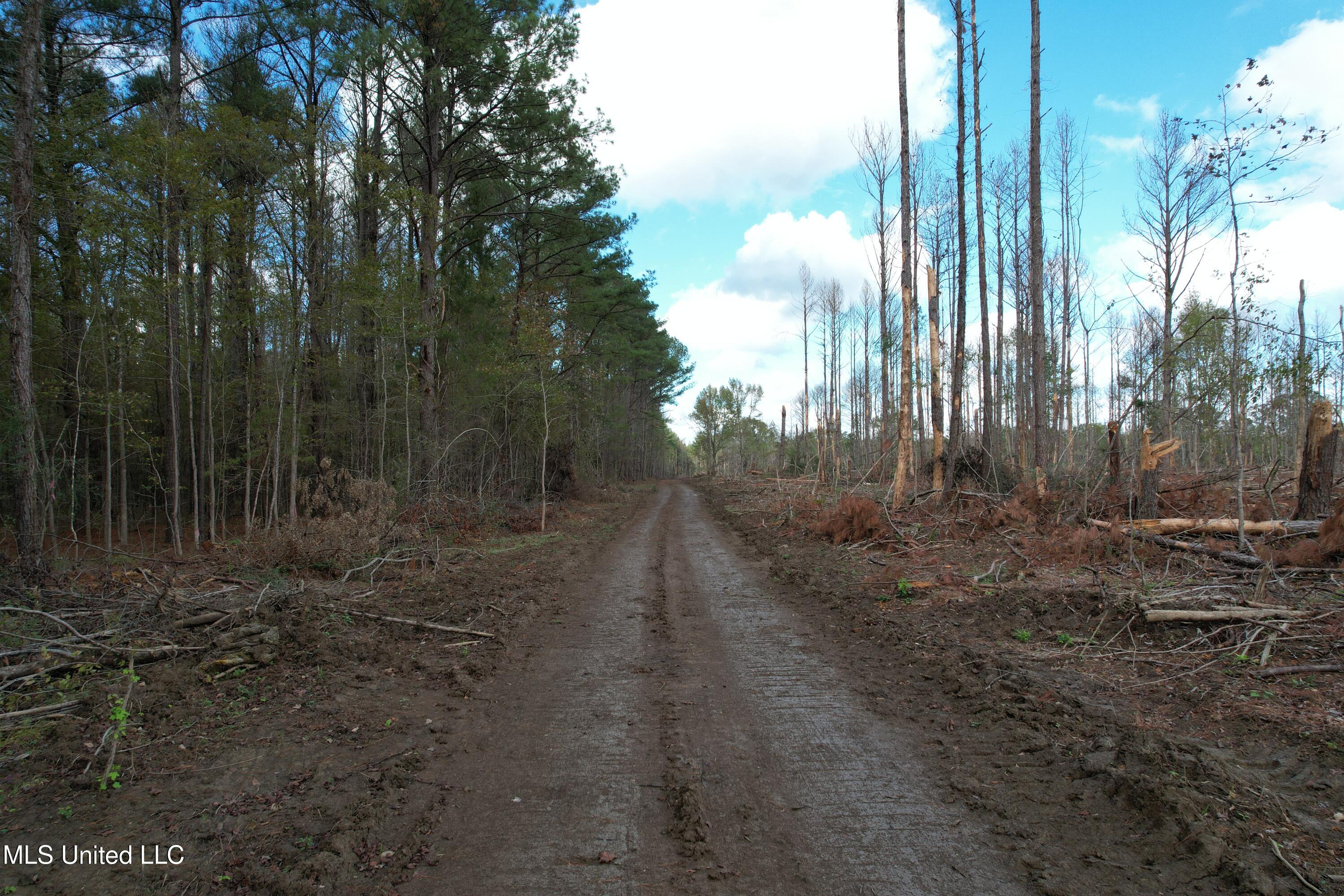 Holly Bush Road Road, Pelahatchie, Mississippi image 4