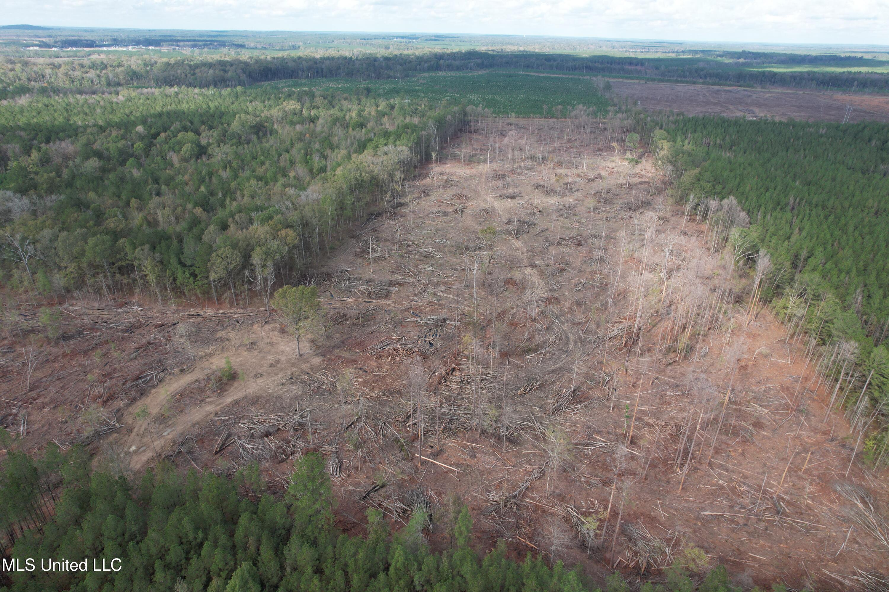 Holly Bush Road Road, Pelahatchie, Mississippi image 3