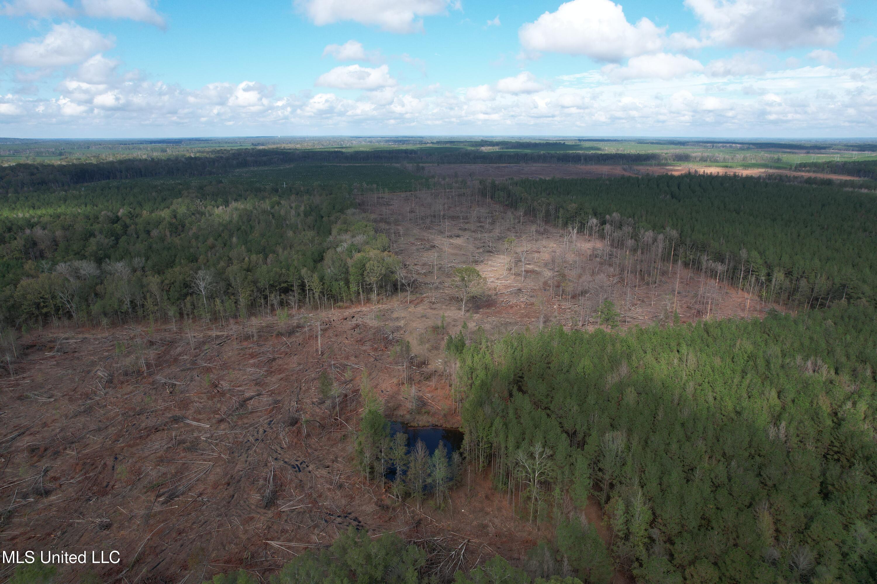 Holly Bush Road Road, Pelahatchie, Mississippi image 5