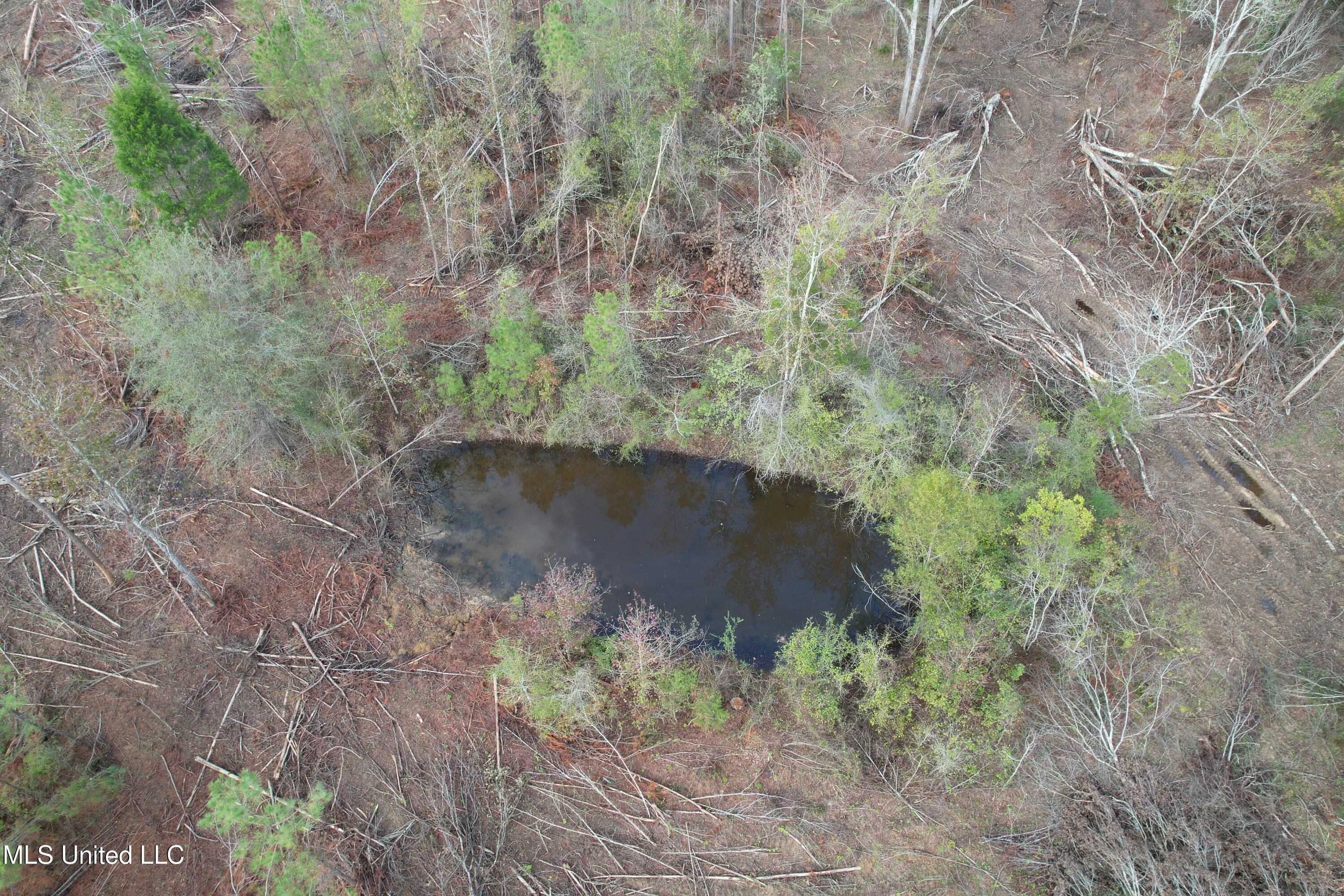 Holly Bush Road Road, Pelahatchie, Mississippi image 6