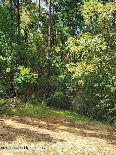 Vacant Land For Sale - 16509 Mcgregor Road<br/> Vancleave, MS 39565