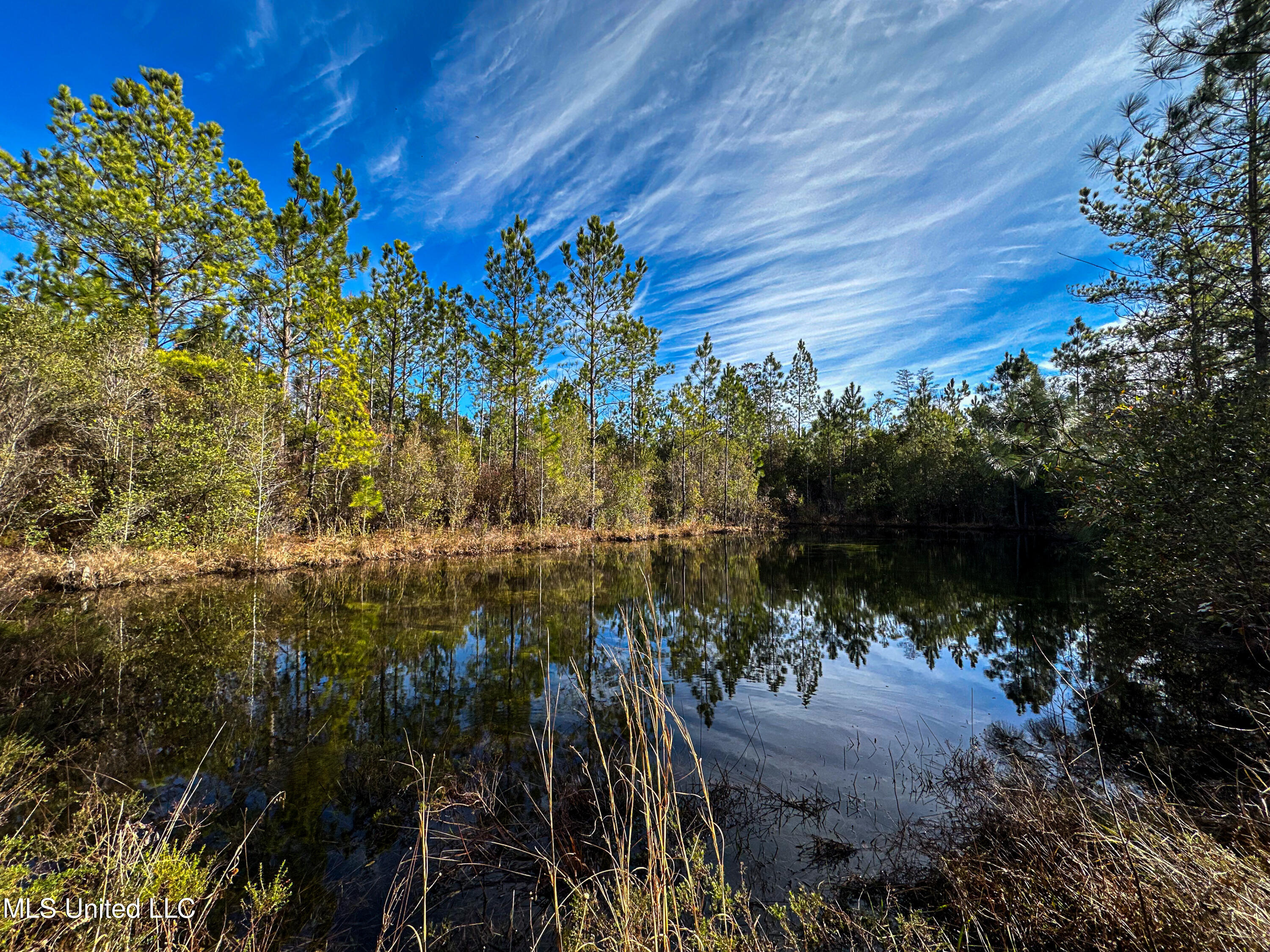 01 Dap Rd E, Moss Point, Mississippi image 3