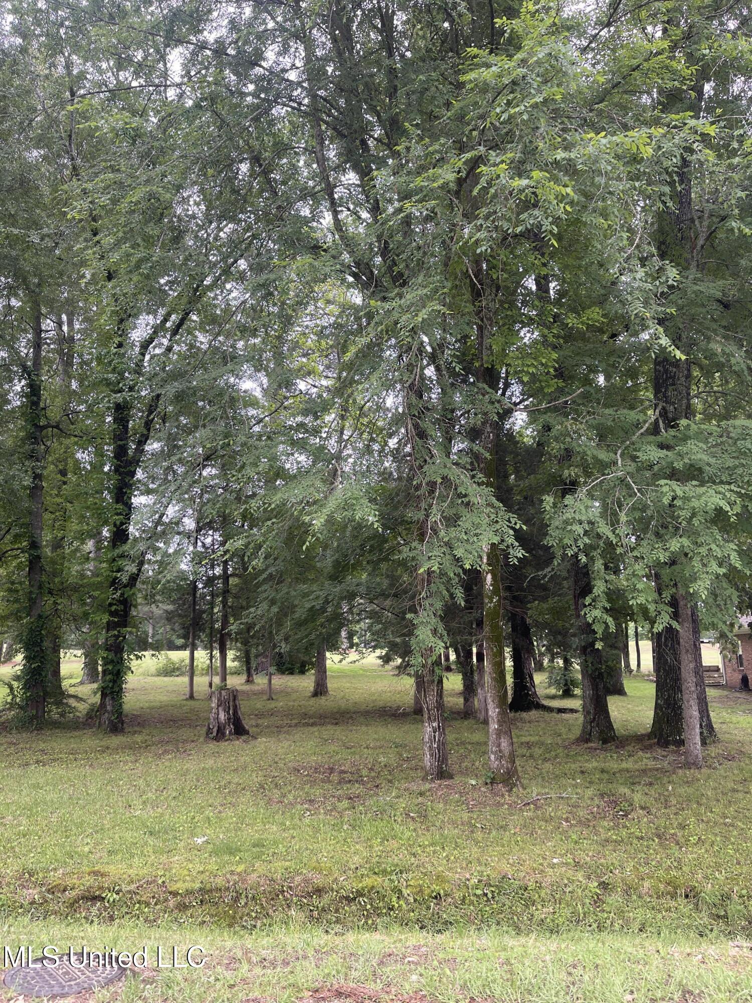 803 Oak Trail, Canton, Mississippi image 3