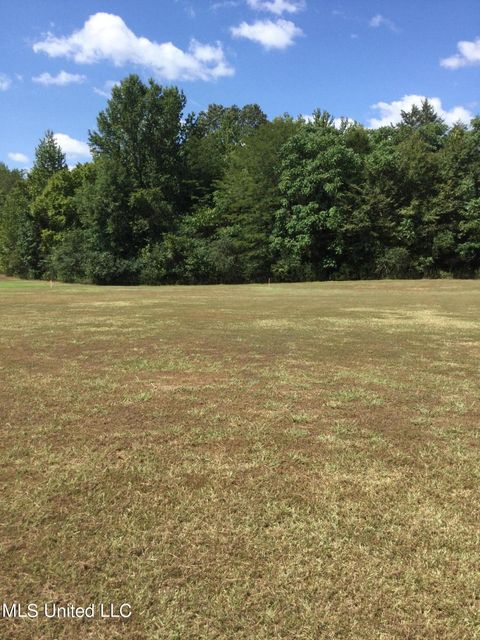 Vacant Land For Sale - Rowell Road<br/> Coldwater, MS 38618