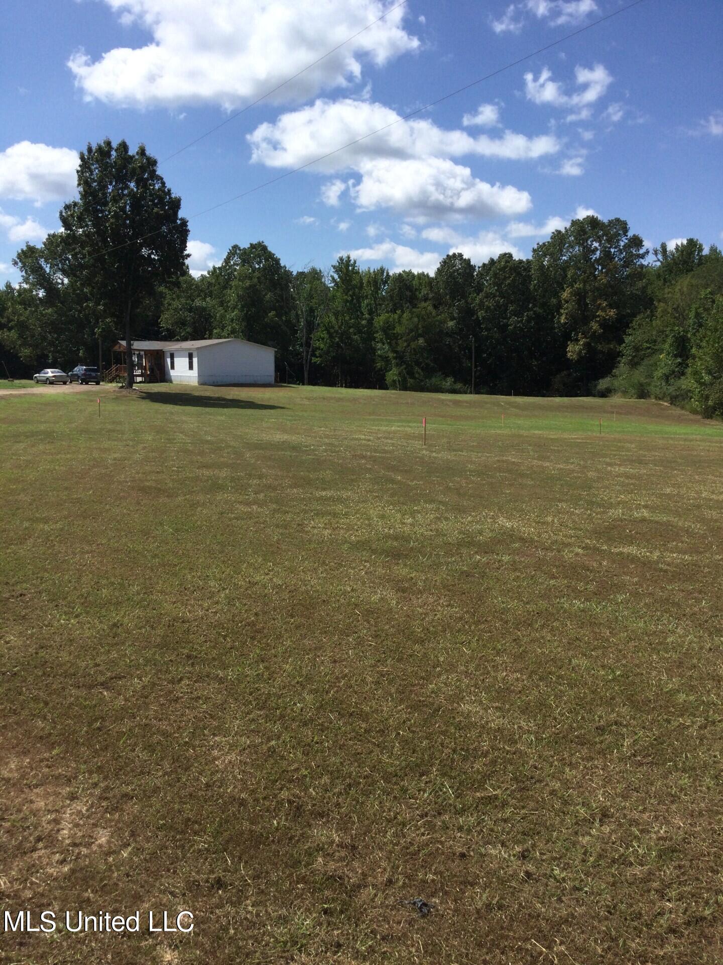 Rowell Road, Coldwater, Mississippi image 7