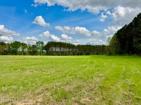 Vacant Land For Sale - 00875 Stump Bridge Road<br/> Madison County, Canton, MS 39046