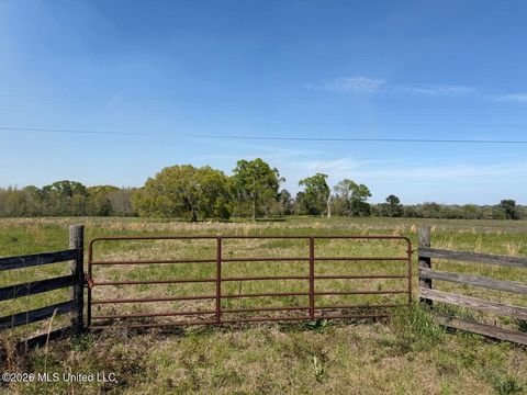 Vacant Land For Sale - 11.74 Magnolia Road<br/> Perkinston, MS 39573