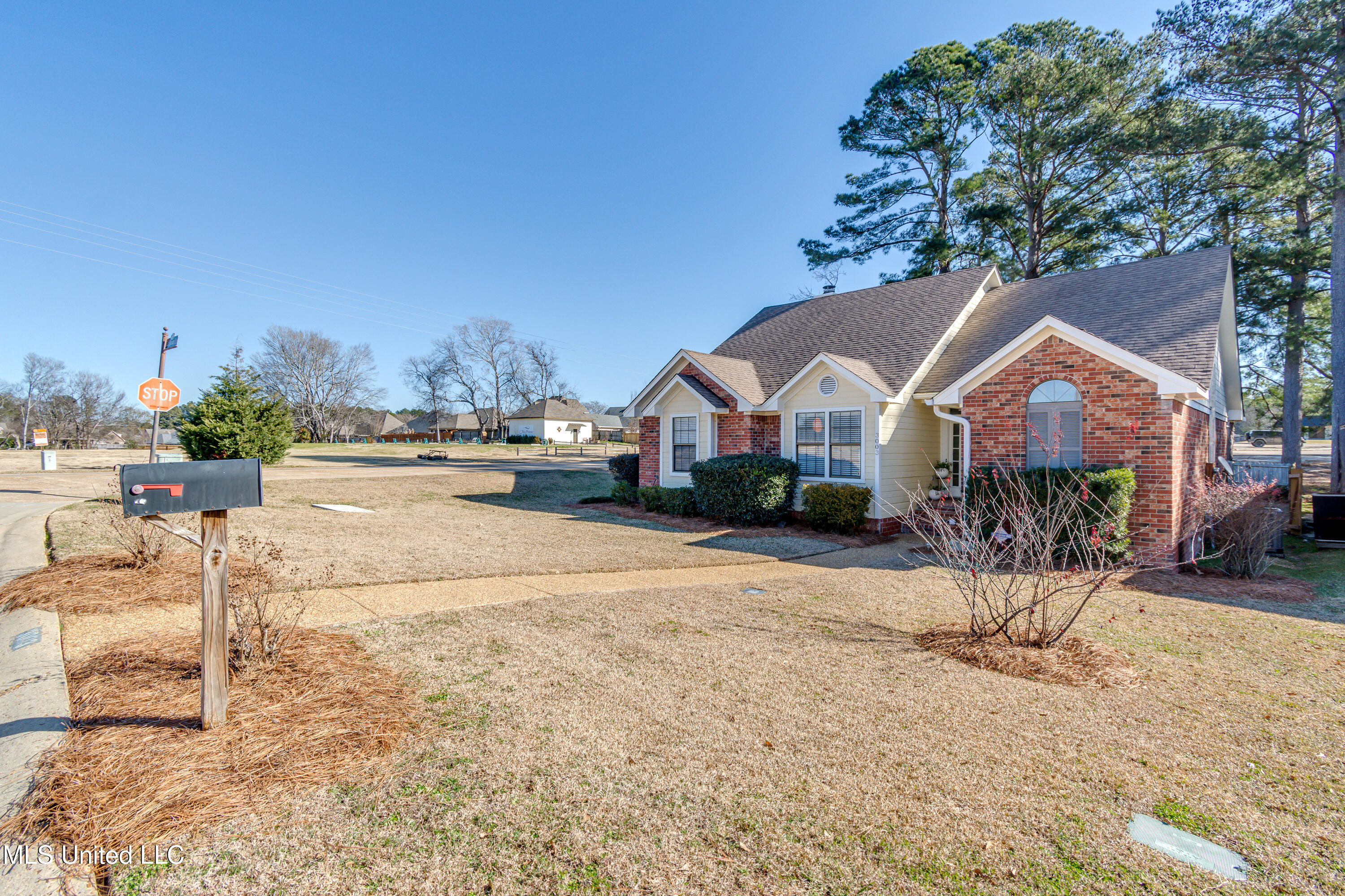 3003 E Fairway Drive, Brandon, Mississippi image 6