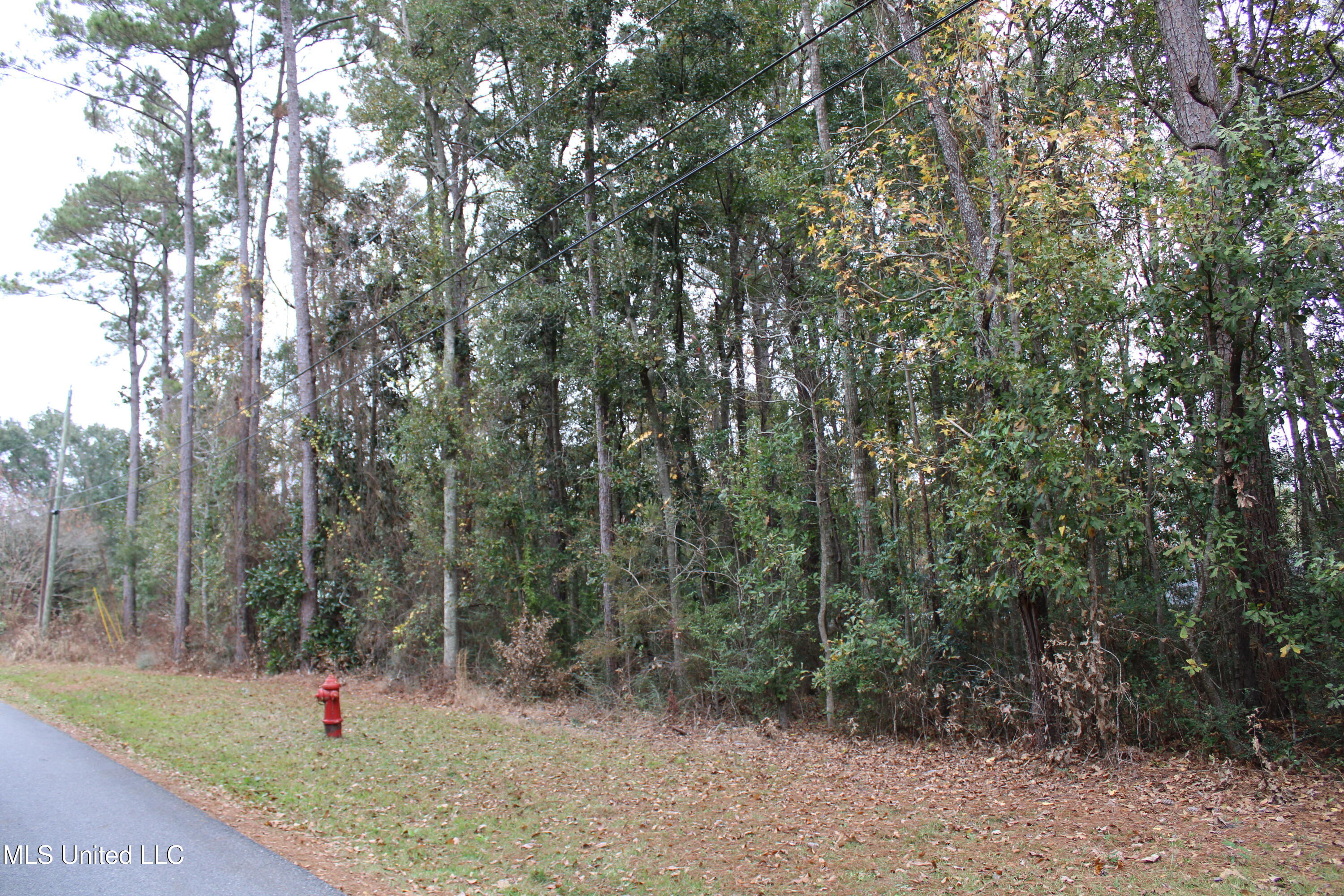 Roxane Street, Gautier, Mississippi image 6