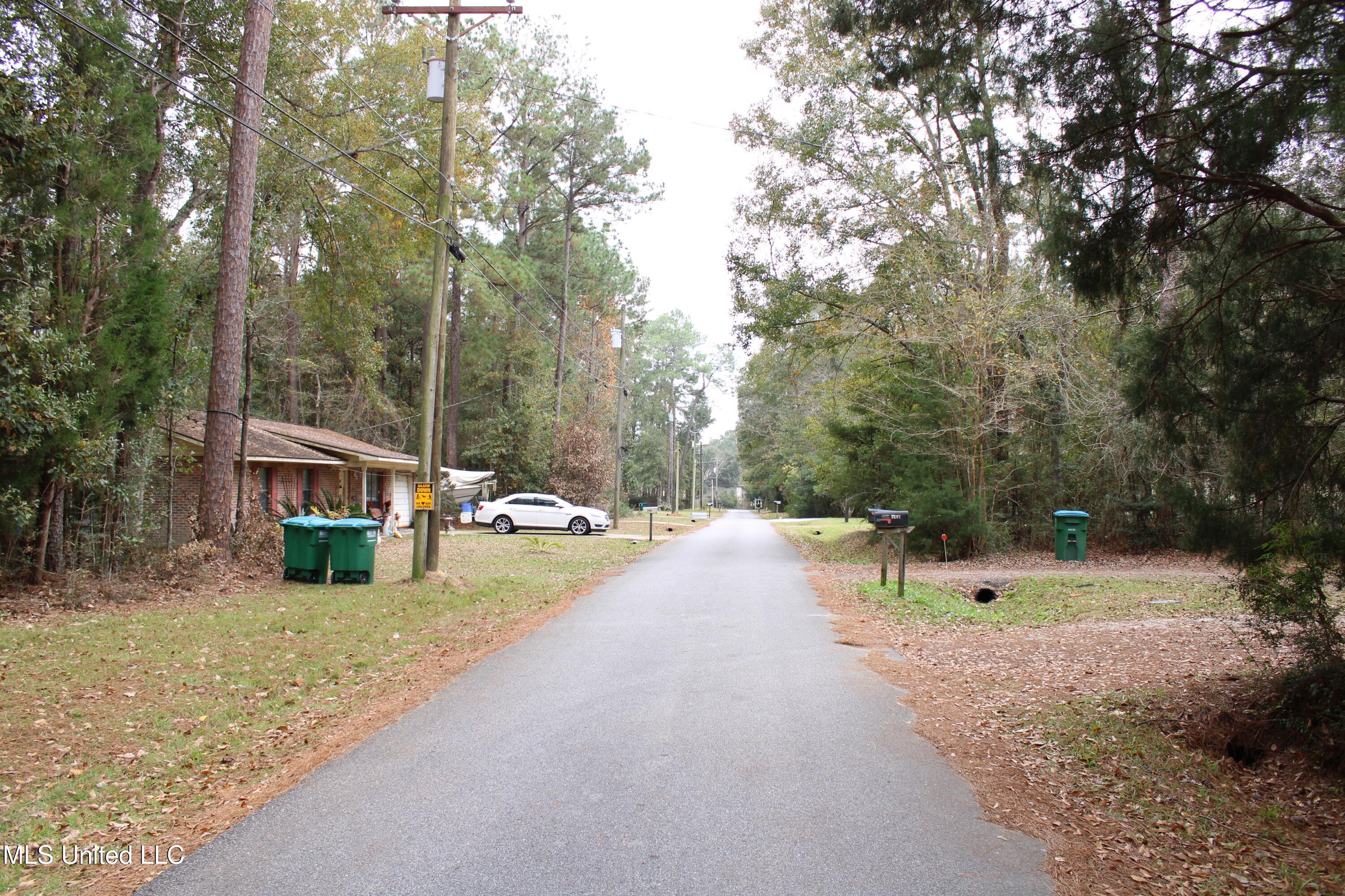 Roxane Street, Gautier, Mississippi image 3