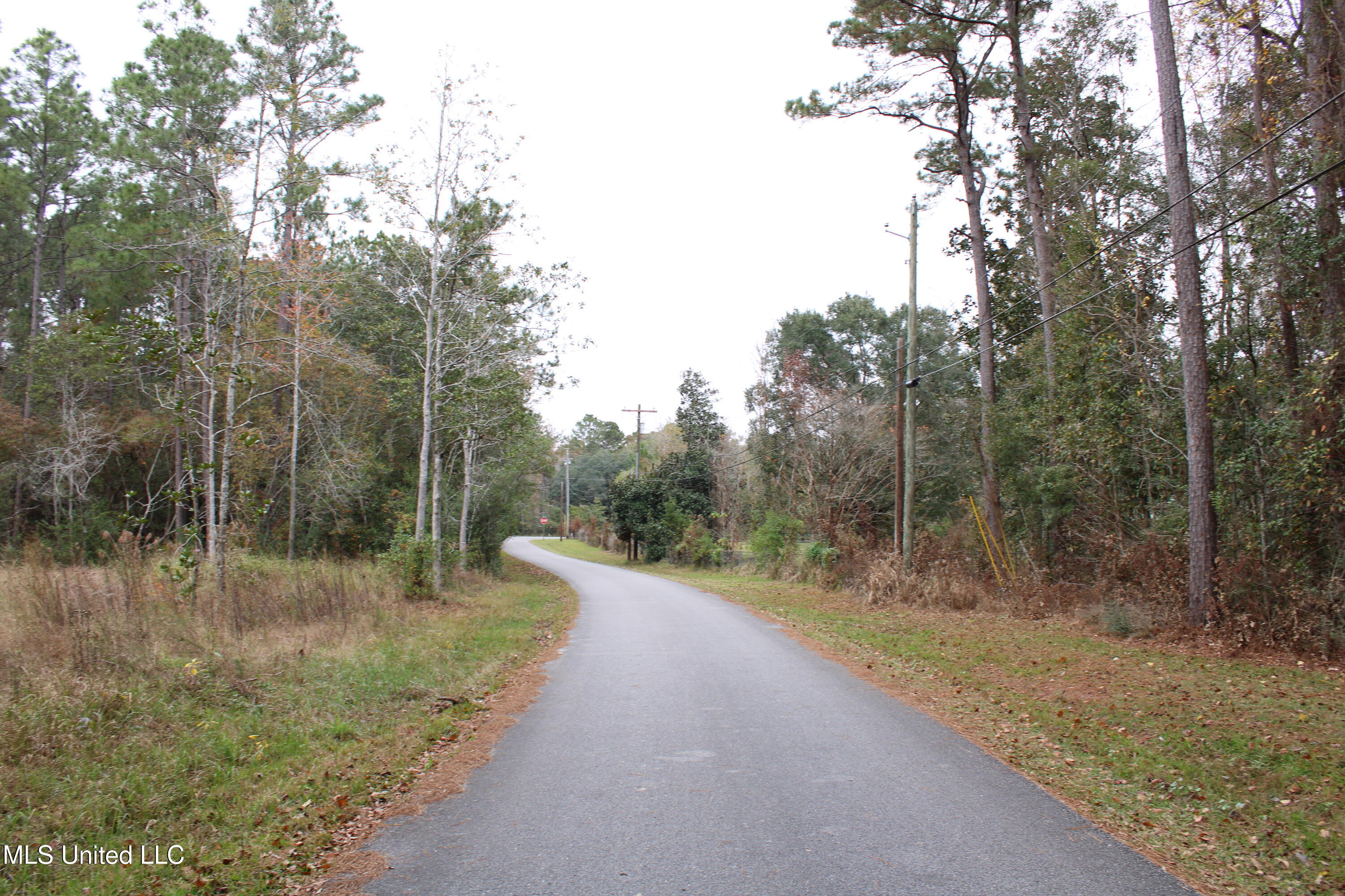 Roxane Street, Gautier, Mississippi image 4