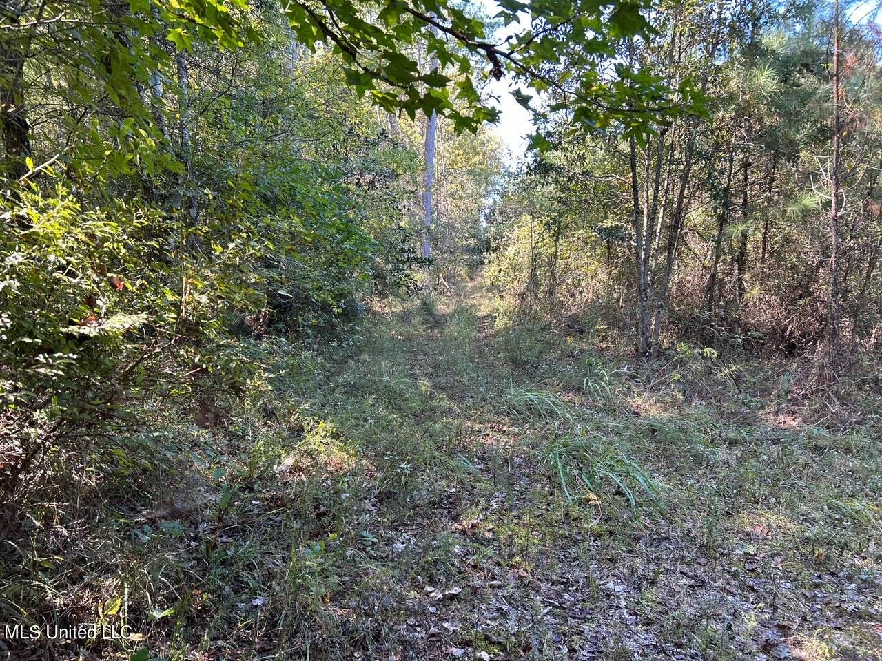 00 Hickory Nut Road, Little Rock, Mississippi image 30