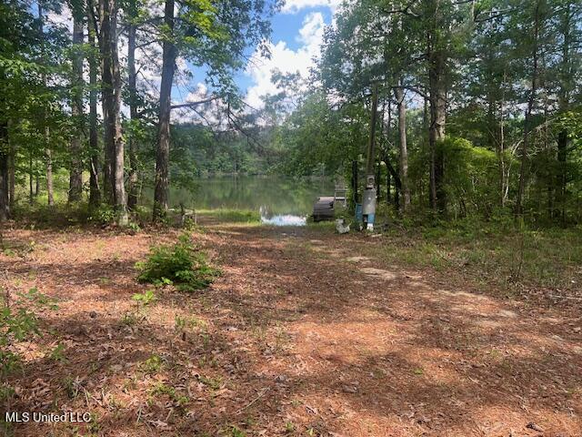 263 Dawkins Road, Hickory, Mississippi image 8