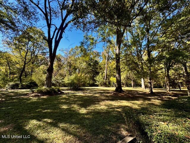 10025 Springridge Road, Terry, Mississippi image 43