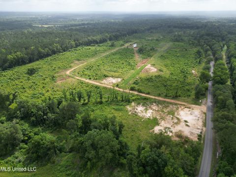 Vacant Land For Sale - 8269 Mississippi 14<br/> Goodman, MS 39079