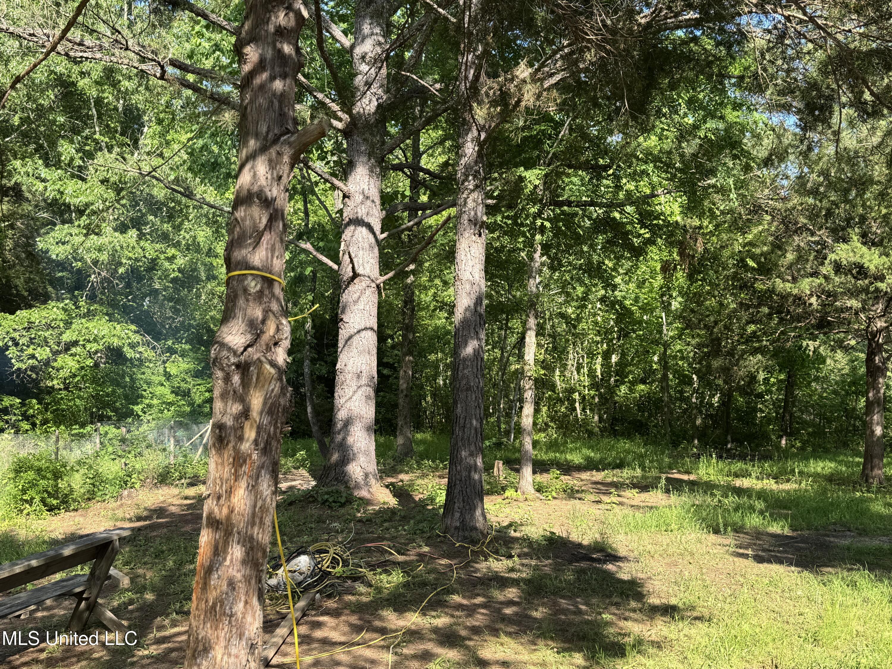 44 Marshall Cove, Byhalia, Mississippi image 21