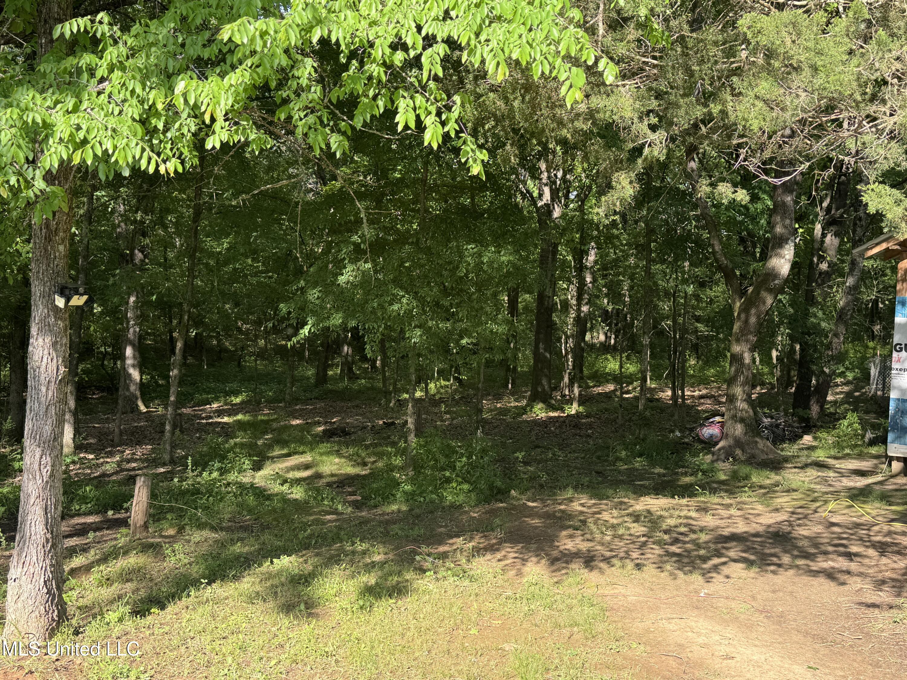 44 Marshall Cove, Byhalia, Mississippi image 22