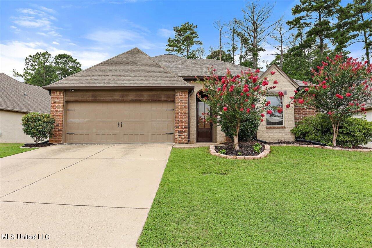 971 Willow Grande Circle, Brandon, Mississippi image 2