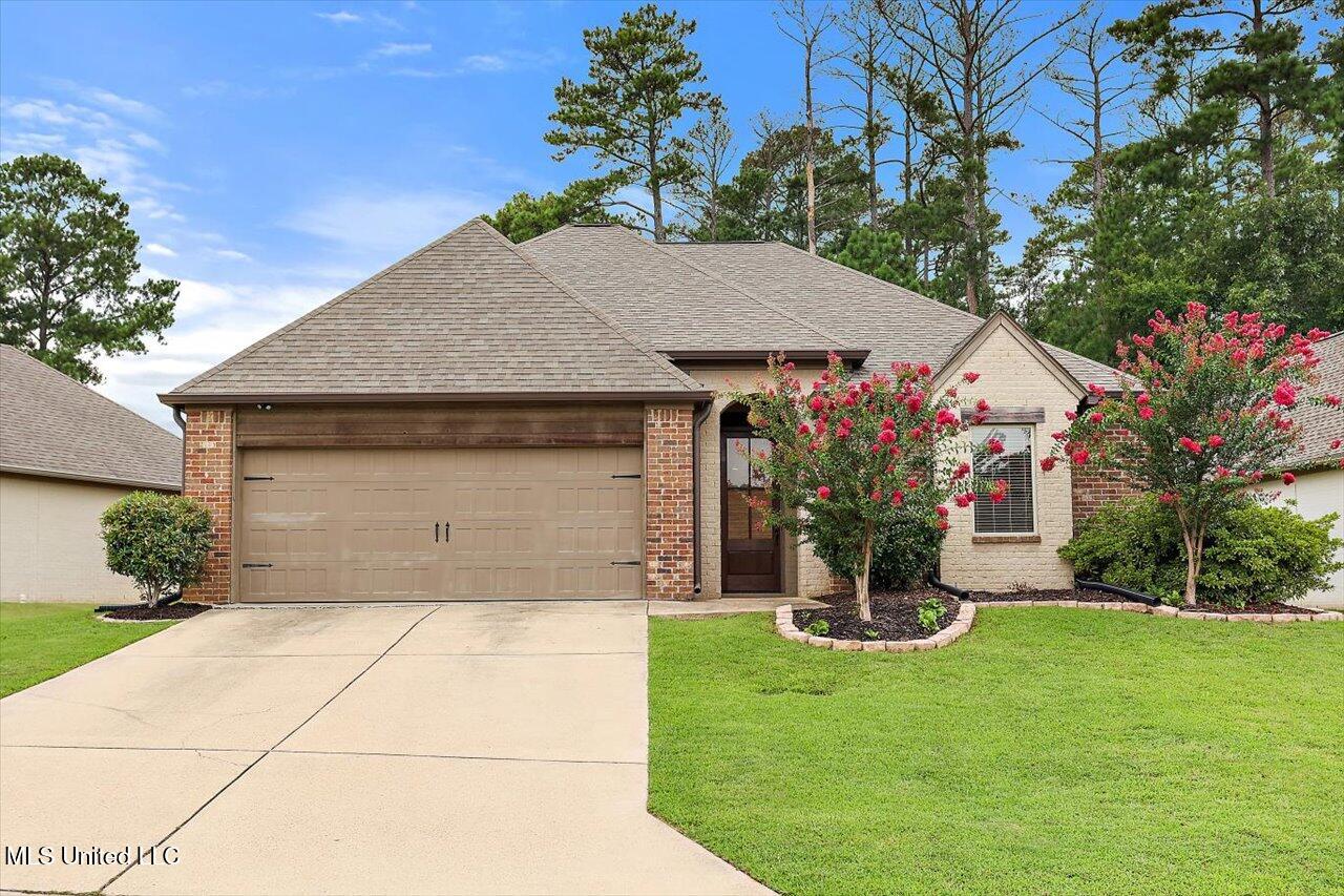 971 Willow Grande Circle, Brandon, Mississippi image 1