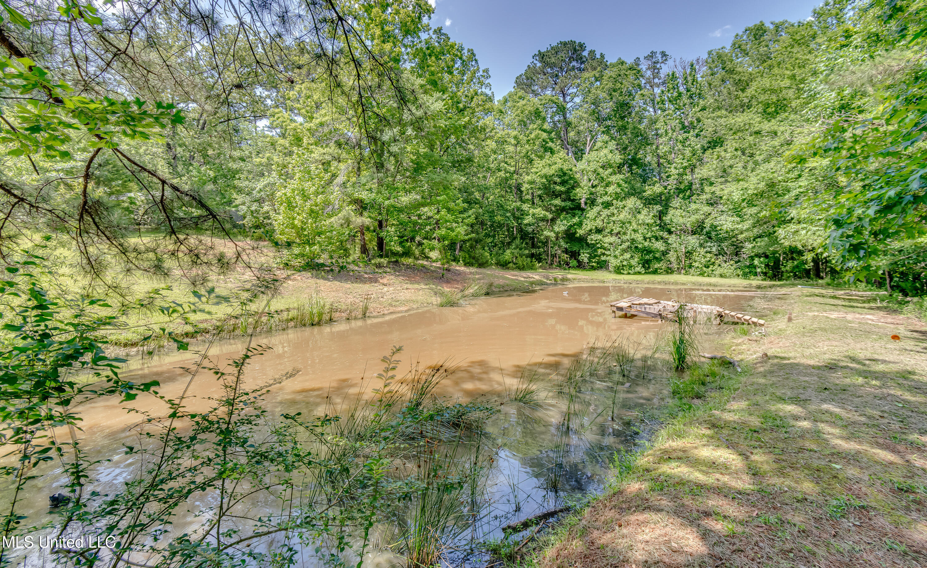 354 Lakeway Drive, Brandon, Mississippi image 11