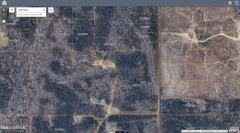 Vacant Land For Sale - Norris Drive<br/> Pike County, Magnolia, MS 39652