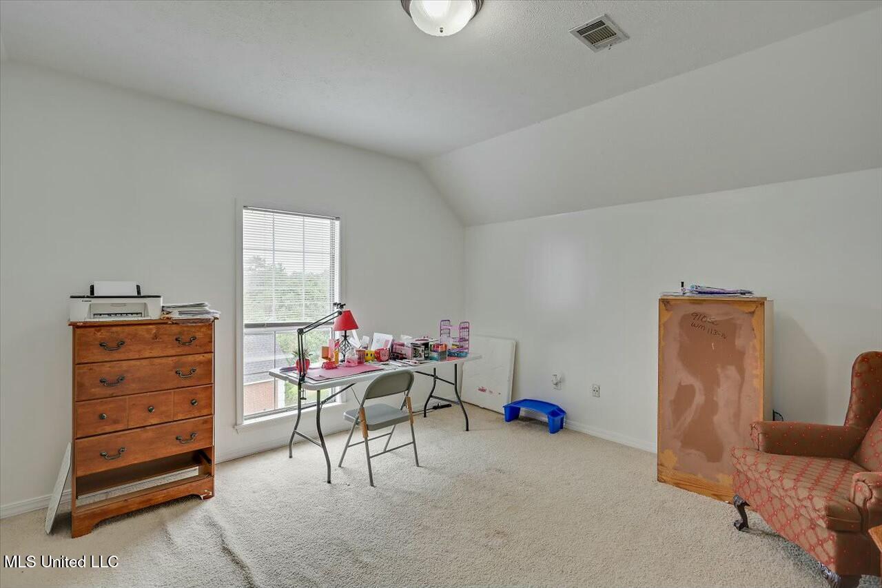 102 Parkview Lane, Brandon, Mississippi image 22