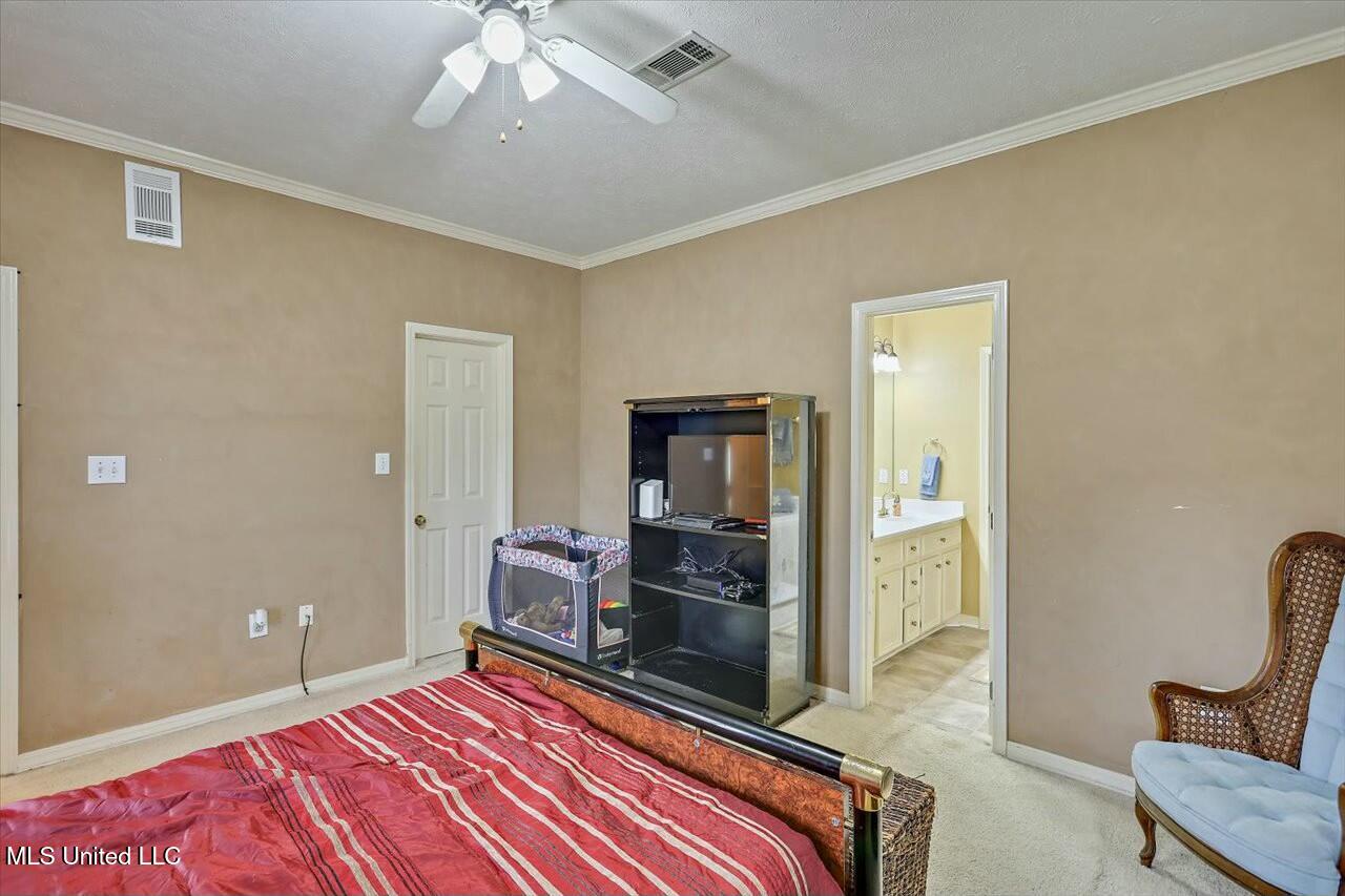 102 Parkview Lane, Brandon, Mississippi image 16