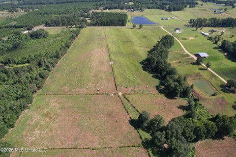 Vacant Land For Sale - 2546 Bogue Chitto Road<br/> Smithdale, MS 39664