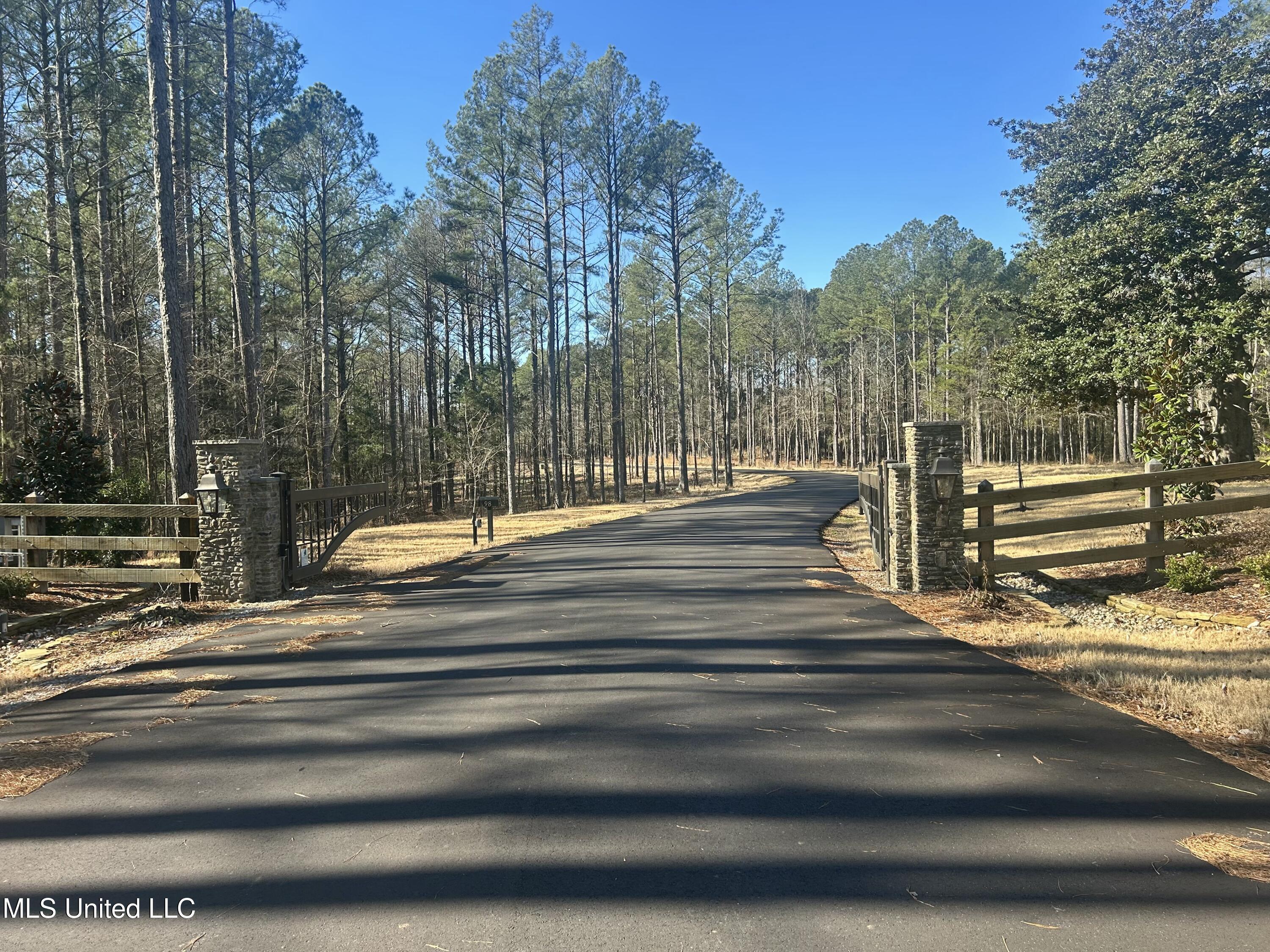 Springwood Trail, Flora, Mississippi image 15