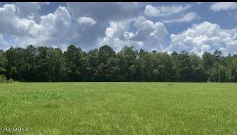 Vacant Land For Sale - 2697 River Road<br/> Lawrence County, Silver Creek, MS 39663