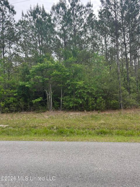 Lot 1 Leetown Road Picayune MS 39466