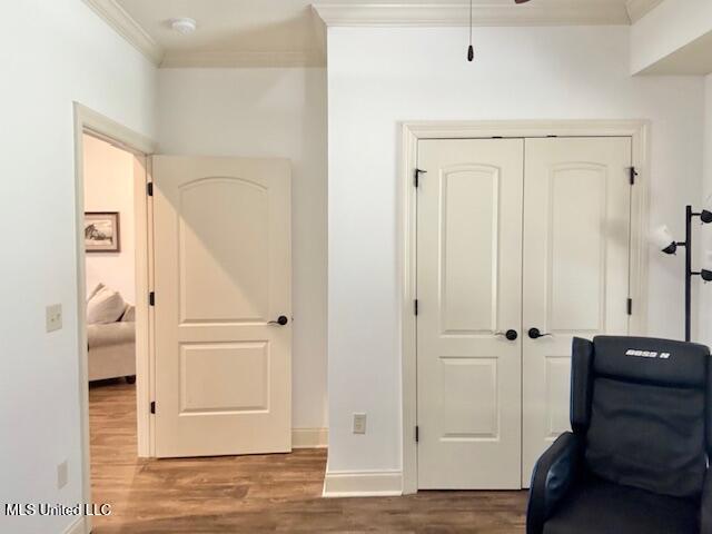 893 Westerly Drive, Brandon, Mississippi image 20