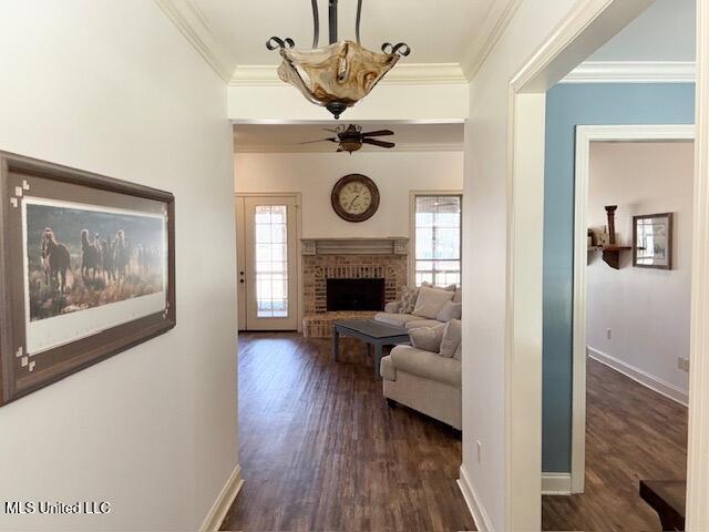 893 Westerly Drive, Brandon, Mississippi image 14