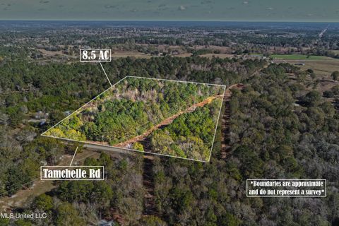 Vacant Land For Sale - Tamchelle Road<br/> Lumberton, MS 39455