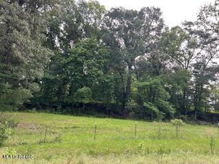 1968 Bend Road, Coldwater, Mississippi image 2