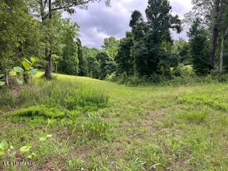 1968 Bend Road, Coldwater, Mississippi image 3
