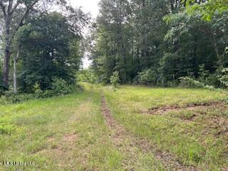 1968 Bend Road, Coldwater, Mississippi image 1