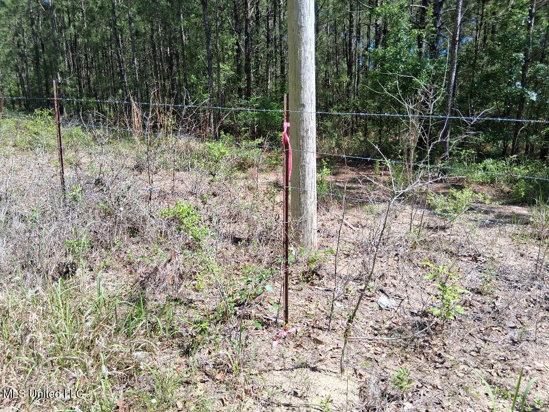 Ben Pierce, Lucedale, Mississippi image 8