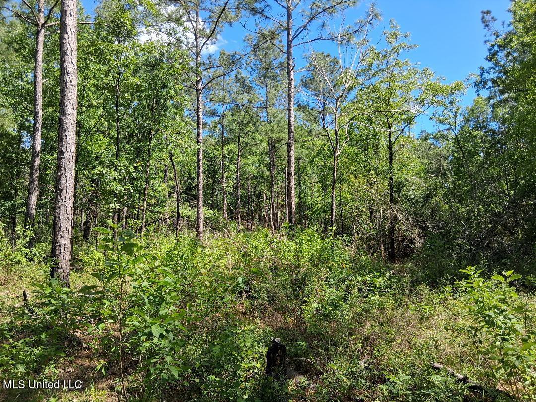 Ben Pierce, Lucedale, Mississippi image 6