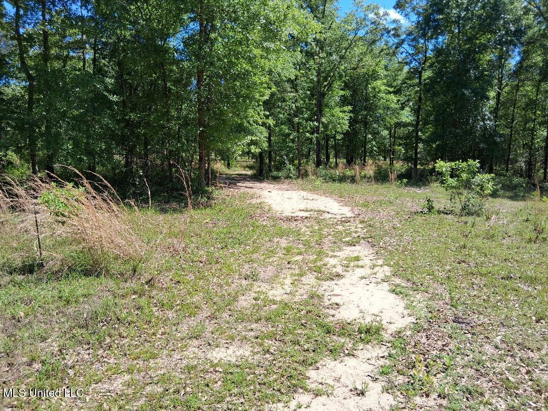 Ben Pierce, Lucedale, Mississippi image 16