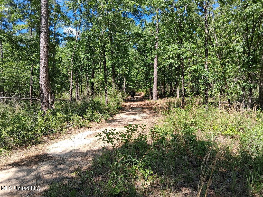 Ben Pierce, Lucedale, Mississippi image 18