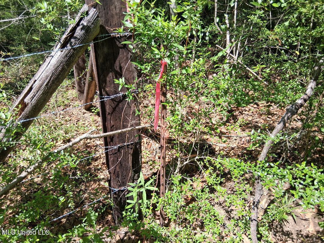 Ben Pierce, Lucedale, Mississippi image 3