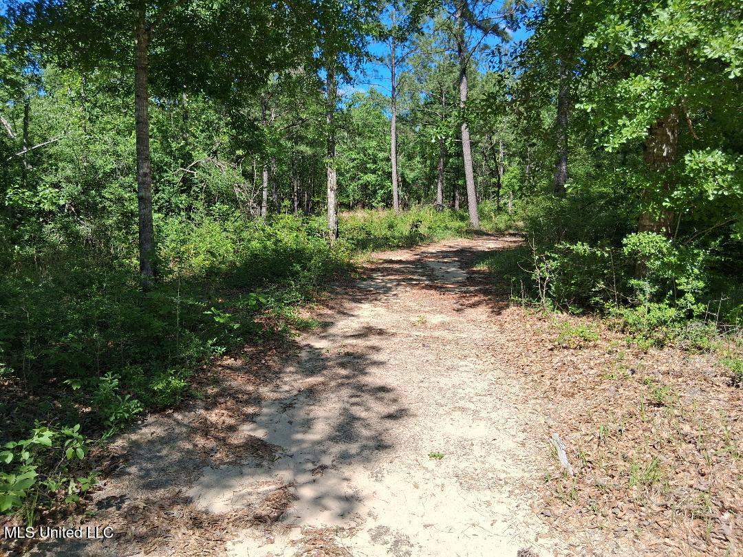 Ben Pierce, Lucedale, Mississippi image 10