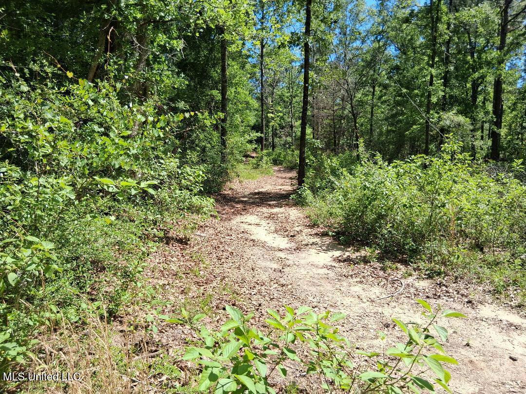 Ben Pierce, Lucedale, Mississippi image 14