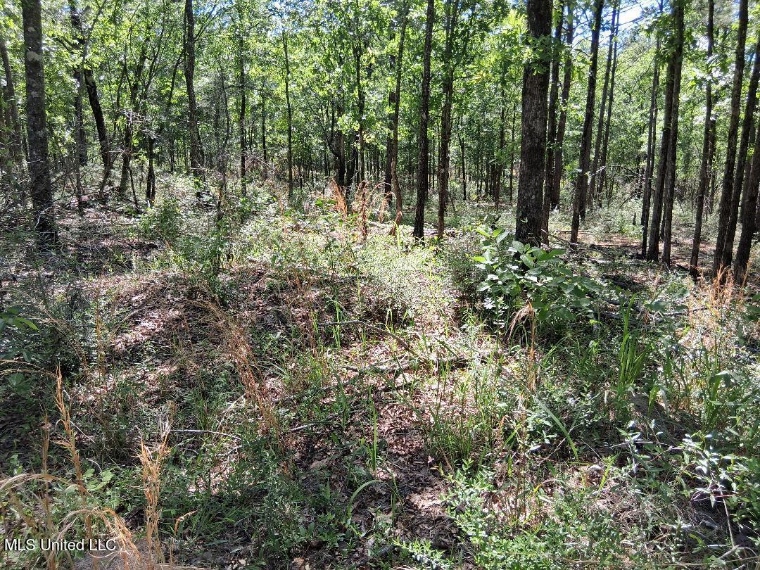 Ben Pierce, Lucedale, Mississippi image 12