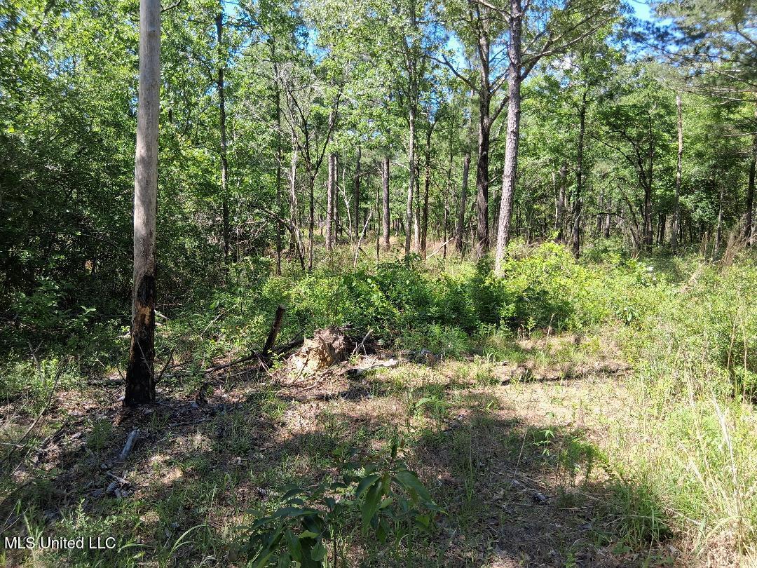 Ben Pierce, Lucedale, Mississippi image 9