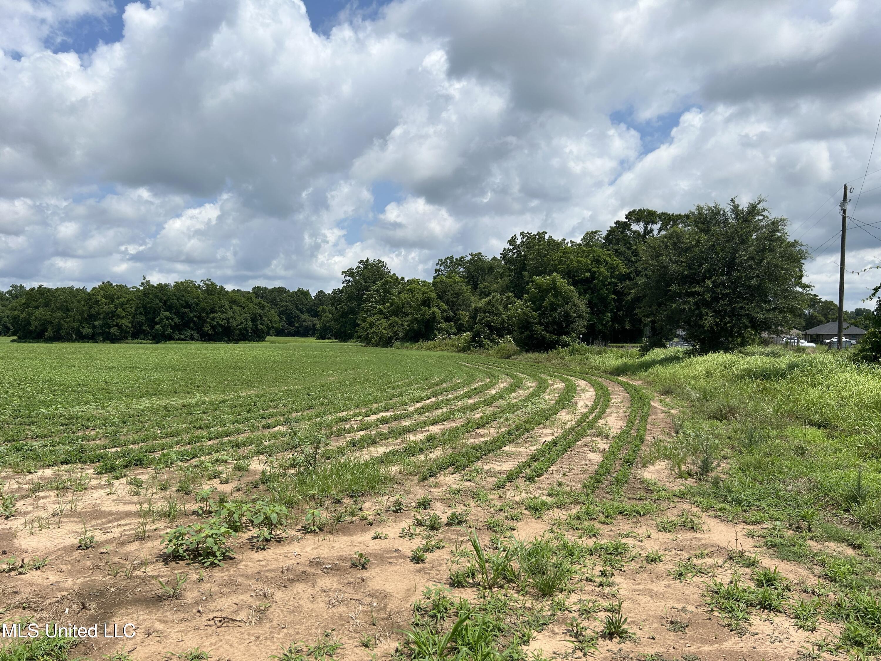 28 Acres Harmon Pope Road, Lucedale, Mississippi image 3